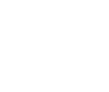 Royal Event Planning